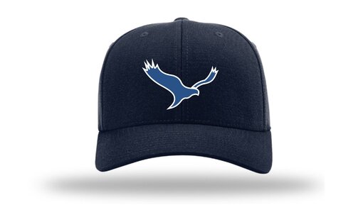 Harriërs SSK FLEX CAP