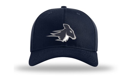 Stags  HC 4 Champro adjustable snapback cap