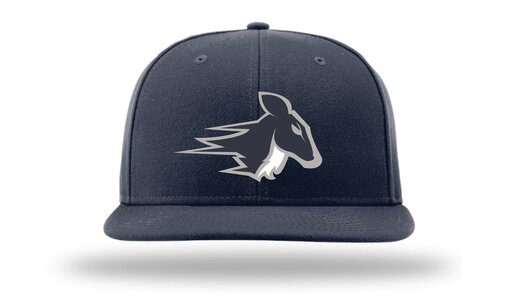 Stags PTS65 Sized Woolcap