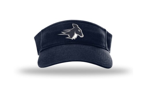 Stags HV6 Champro Visor