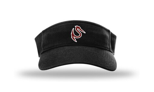 Storks HV6 Champro Visor Storks HV6 Champro Visor