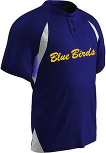 Blue Birds Practice Jersey Blue Birds Practice Jersey