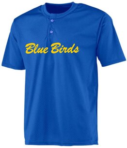 Blue Birds BP Jersey Mesh Blue Birds BP Jersey Mesh