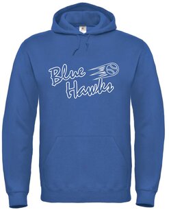 Blue Hawks Hoodie Blue Hawks Hoodie
