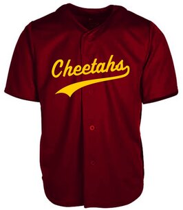 Cheetahs Jersey Cheetahs Jersey