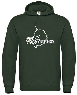 Unicorns Hoodie