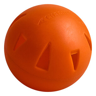 CBB47 - Champro 9" Poly Molded Brute Ball CBB47 - Champro 9" Poly Molded Brute Ball
