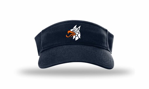 Gryphons Visor