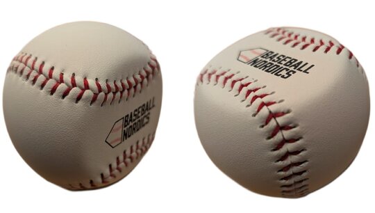 Baseball Nordics Spinner Training Ball