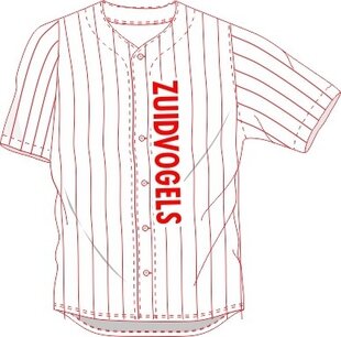 Zuidvogels Jersey
