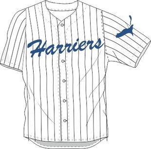 Harriërs Jersey HB