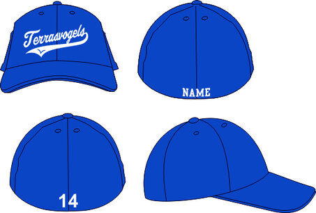 Terrasvogels SB sized cap Terrasvogels SB sized cap