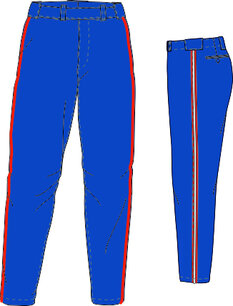 PA PRO TEX TOWN TIGERS MET TRIM (SSK)