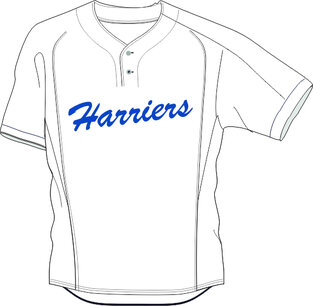 Harriërs BP Jersey Mesh